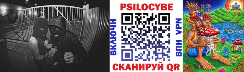 купить  цена  Ижевск  Псилоцибиновые грибы Psilocybine cubensis 